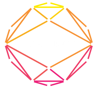 Digital Surveys